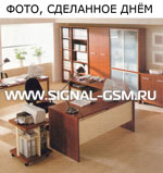 фото сделанное MMS GSM камерой днем